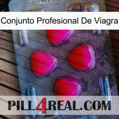 Viagra Professional Set 13